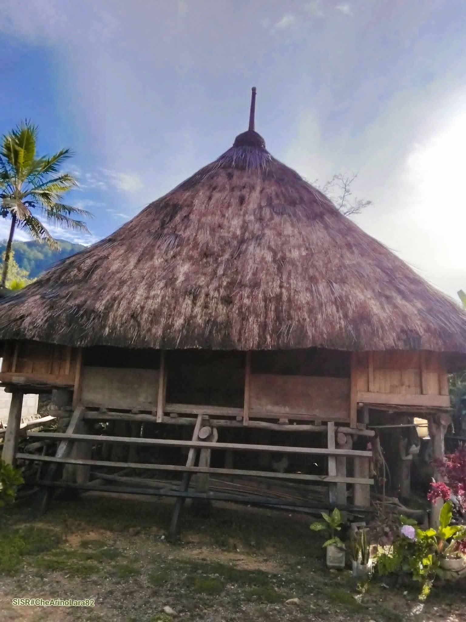 Uma Fukun Resmea : SISR#Che Arino Lara 82