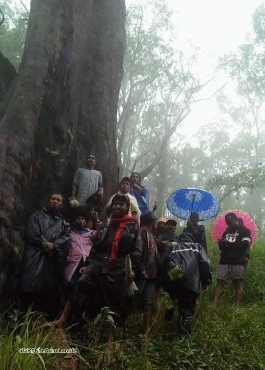 Ai Ru maubere, Foto Che Arino Lara 82