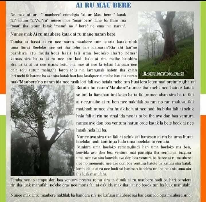 Ai Rua maubere, Baner SISR# Che Arino Lara82