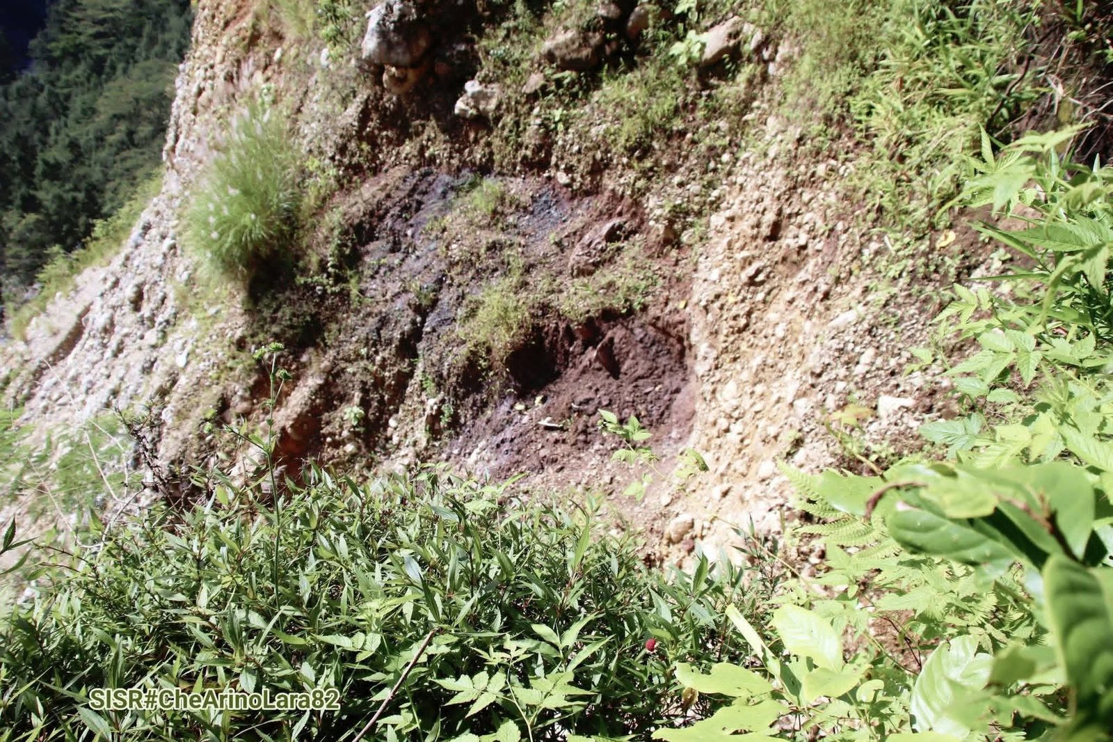 Rai monu no halai iha Suku Rotuto, Foto : Che Arino Lara 82