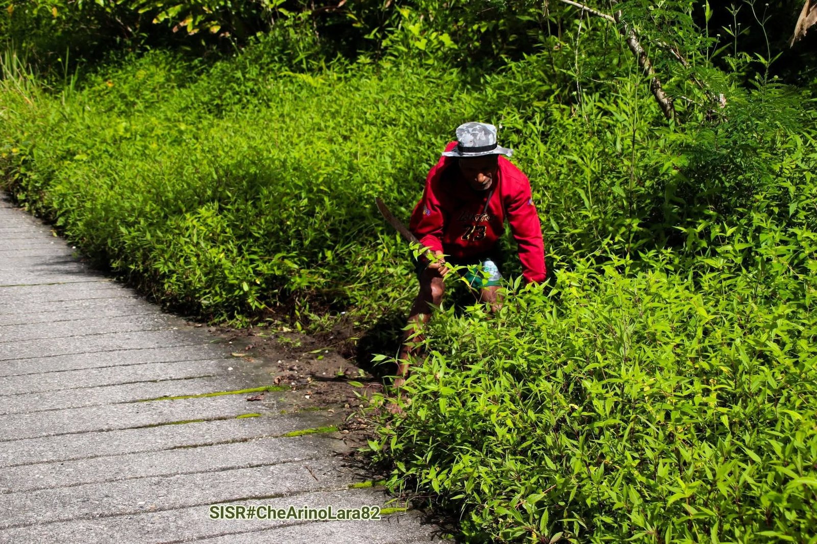 Rotuto halao limpeja jeral, foto Che Arino Lara 82