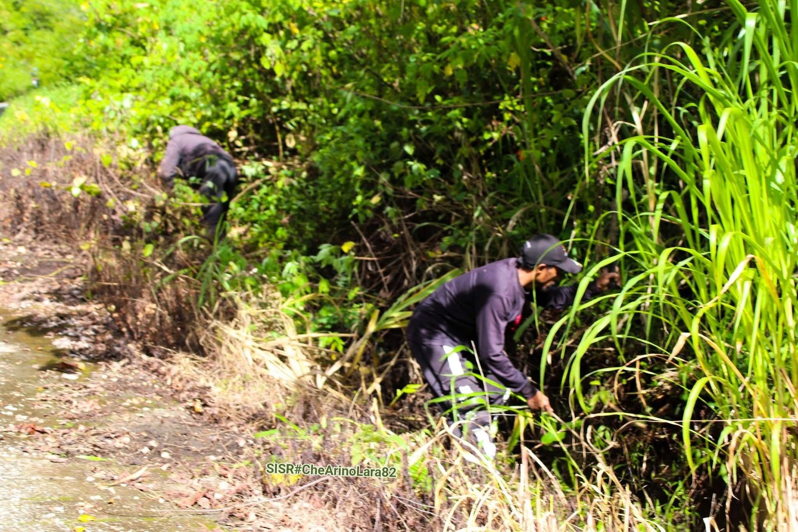 Rotuto halao limpeja jeral, foto Che Arino Lara 82