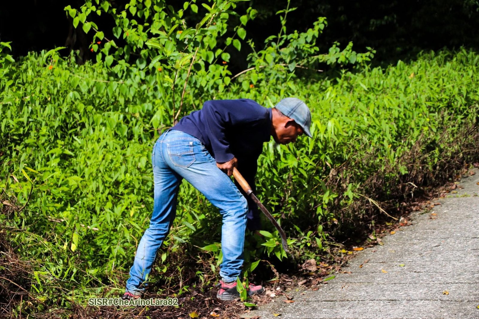 Rotuto halao limpeja jeral, foto Che Arino Lara 82