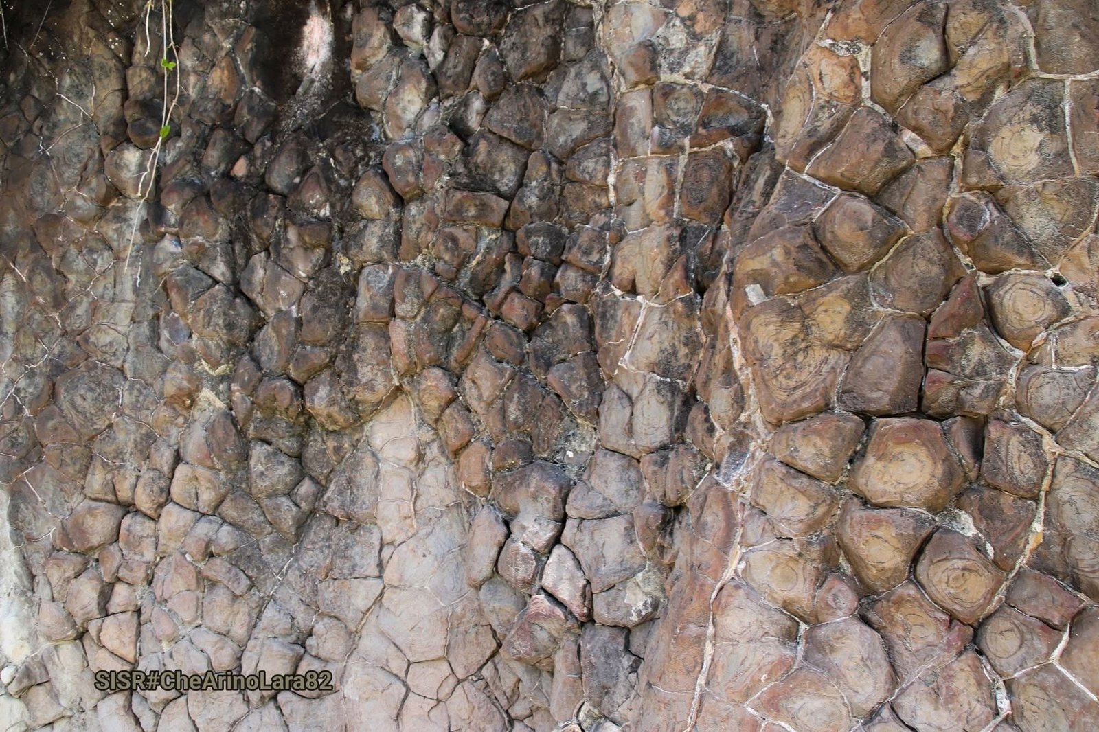 haot meta,iha Daisua, foto : che Arino Lara 82