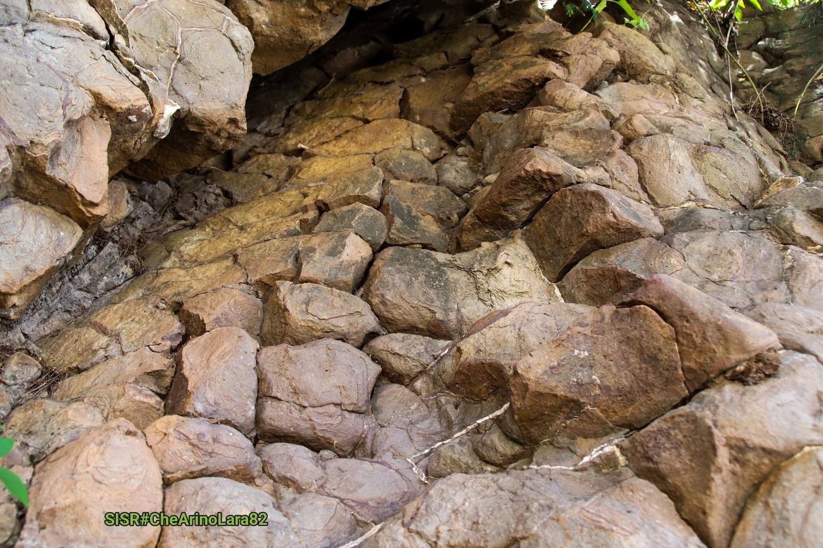 haot meta,iha Daisua, foto : che Arino Lara 82