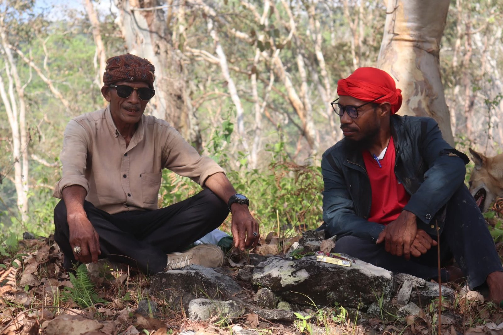 kuak fatin hahoris betuak fahinehan