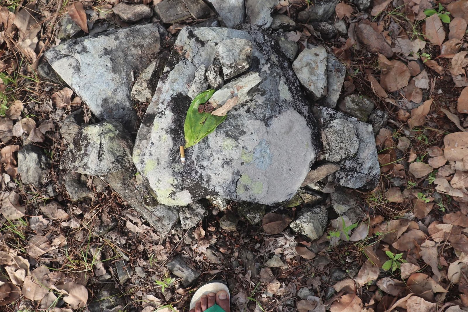 kuak fatin hahoris fahinehan nia emar 