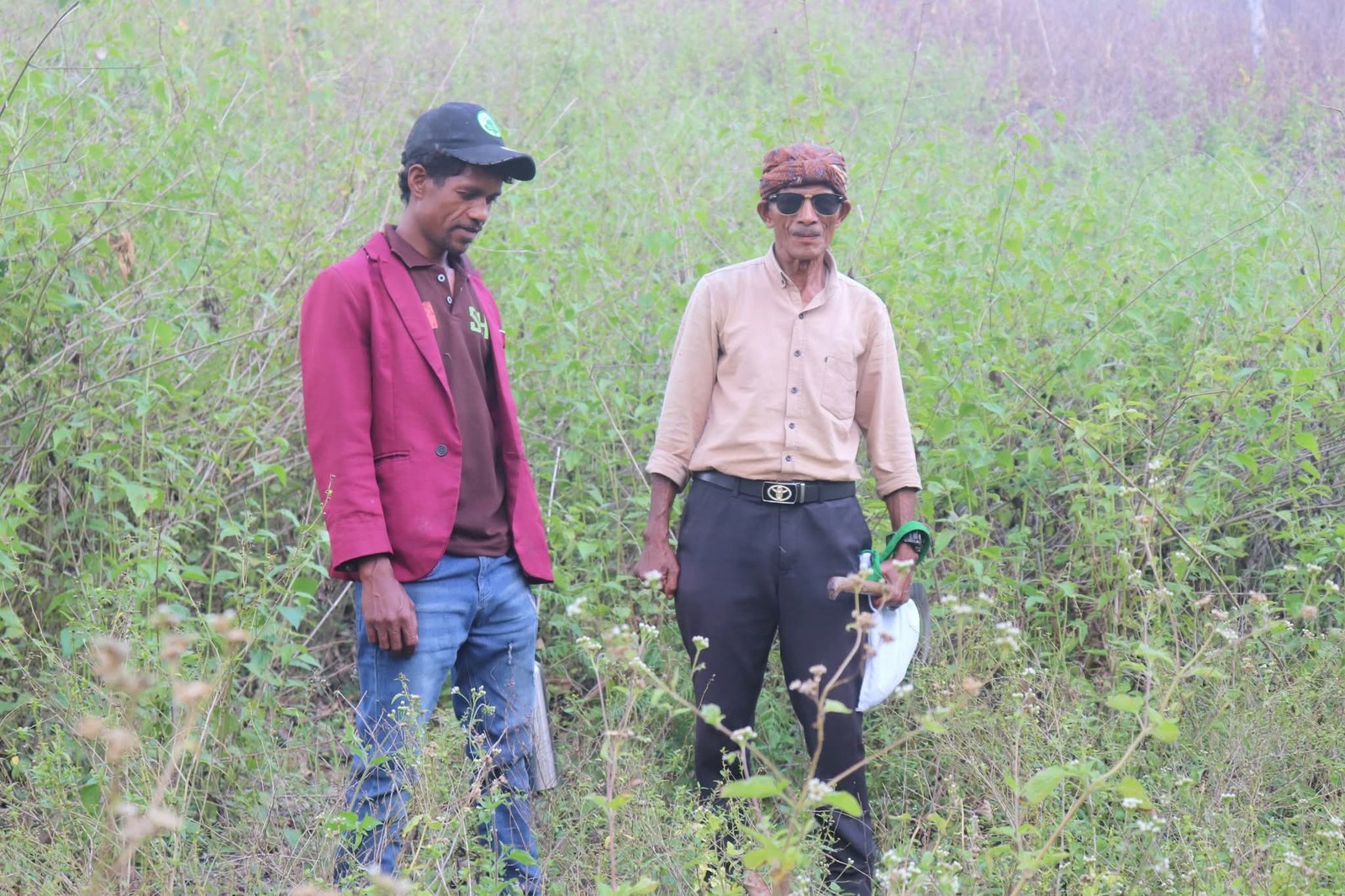 iha Fatin fahisarata